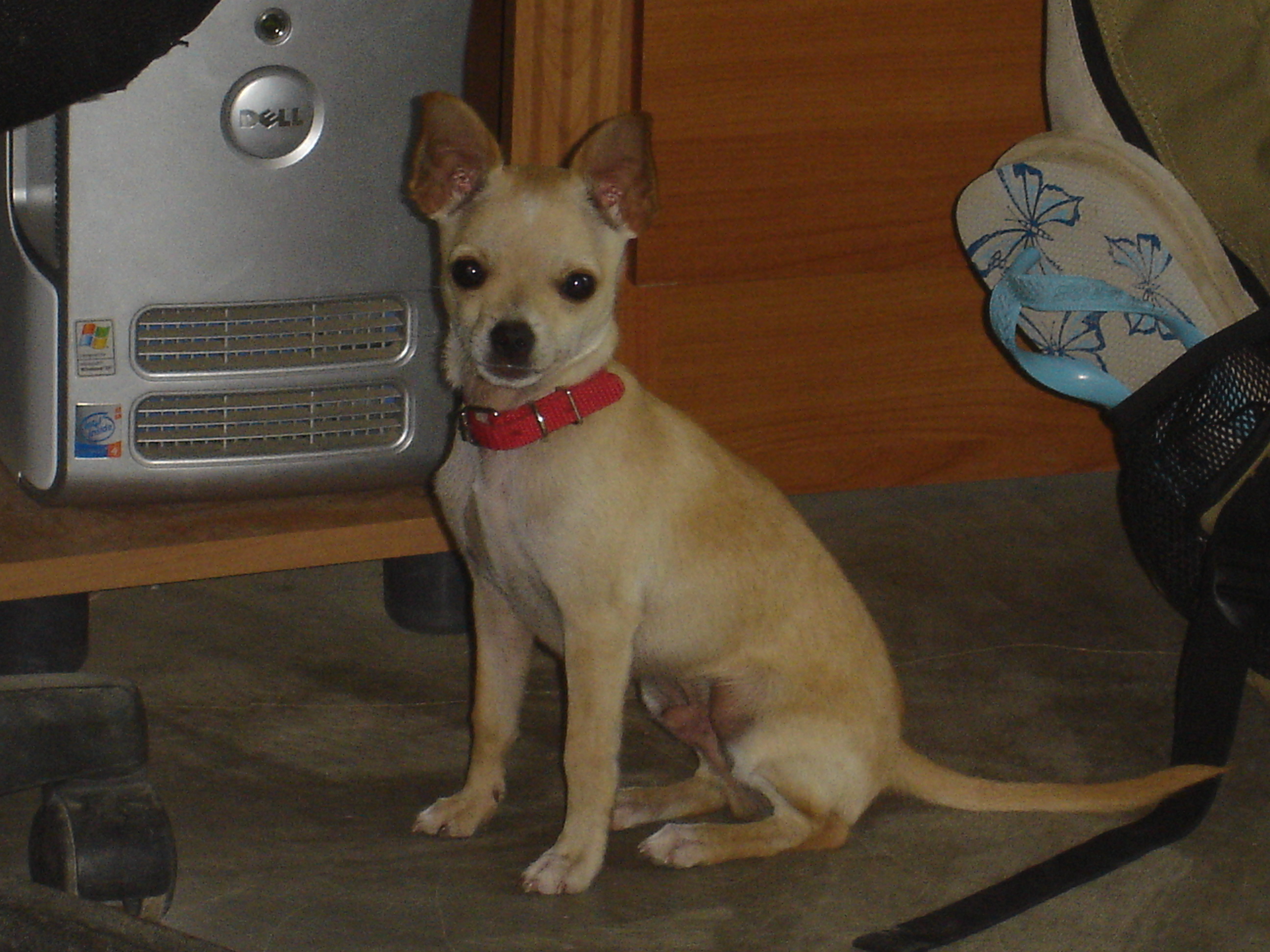 8feb07.JPG