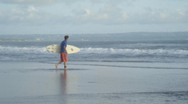 Surf's Up