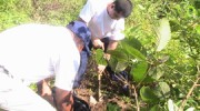 plant-a-tree-featured