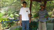 organic-market-featured