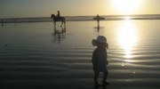 sunset-featured