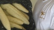 loofah-featured