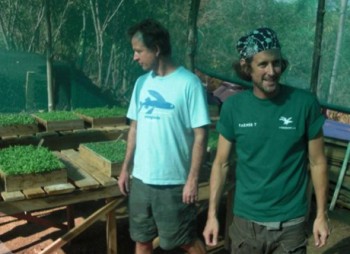 planting greens