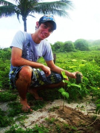 planting trees