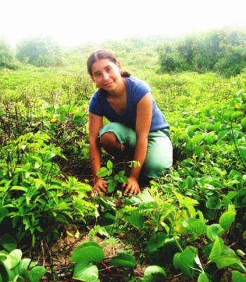 planting trees