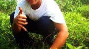 planting-05