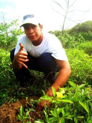 planting trees