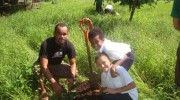 planting-08