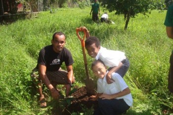 planting trees