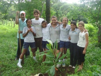 planting trees