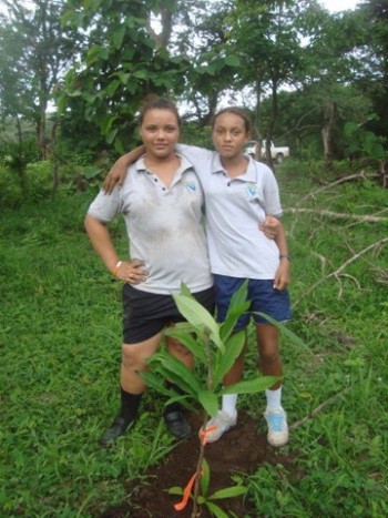 planting trees
