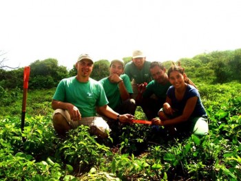 planting trees