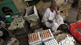 One-Third of the World's Food Wasted