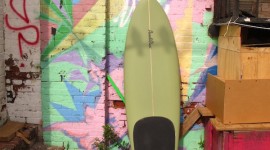 Mollusk Surf Shop