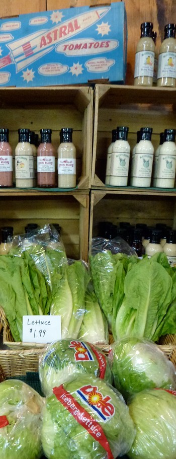 Dole Iceberg Lettuce Head from California at a Farm Stand in Hempstead, Maryland