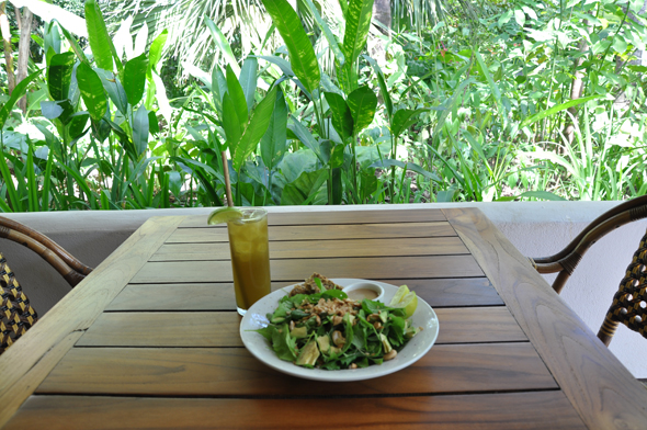 Lemongrass ginger drink and baby greens salad with lemongrass-cashew dressing