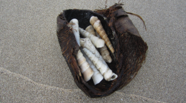 Free, Beautiful, Biodegradable Toys!