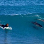 Best Surfing Beat Down