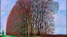 David Hockney, Bigger Trees Nearer Water