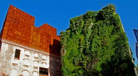 A Thriving Green Wall in Madrid