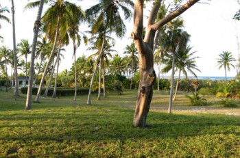 Crystal Cay